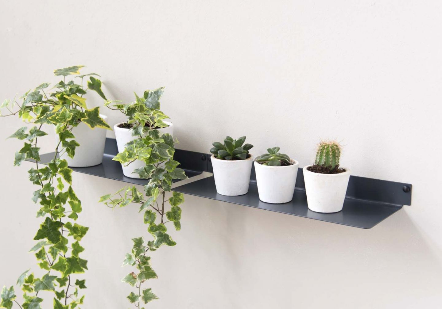 Étagère murale pour plantes L45 cm - Lot de 2