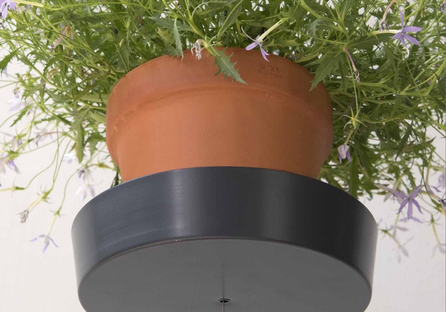 Comprar Soporte Para Plantas