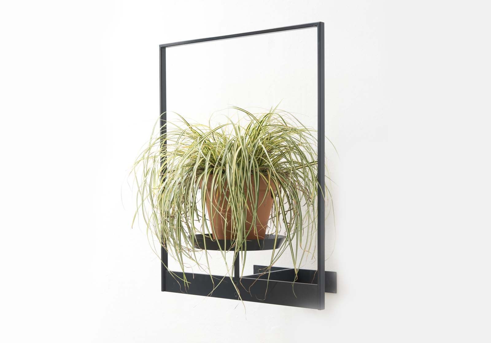Comprar Estantes Para Plantas L55 cm