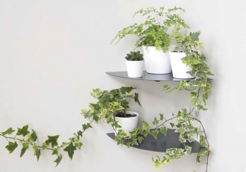 Floating plant shelf L36 cm - Alu - Set of 2