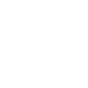100% secure payment
